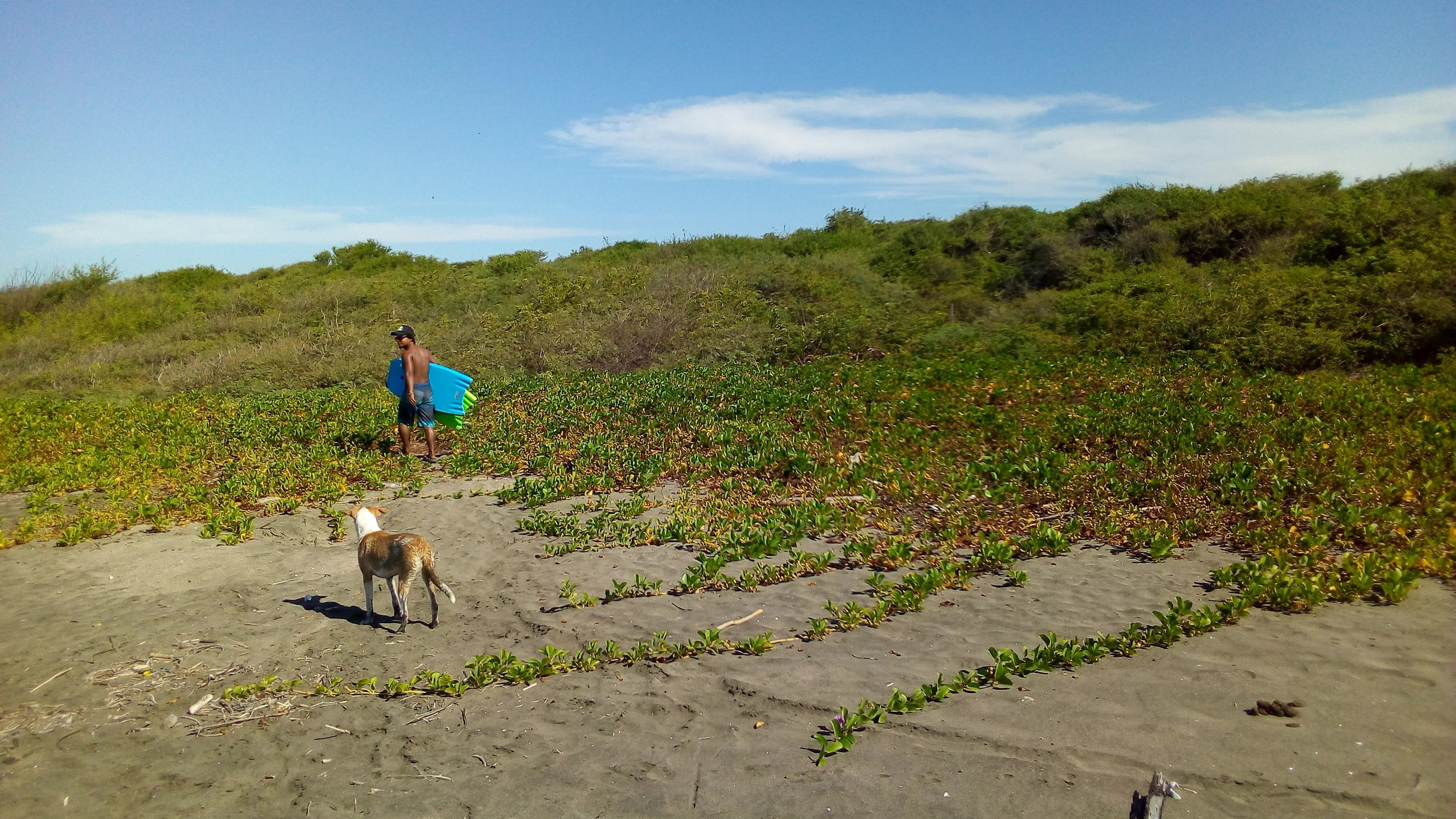 our site is well hidden due to our buffer zone