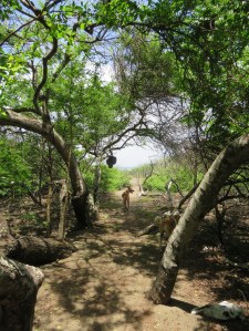 pathway to the beach
