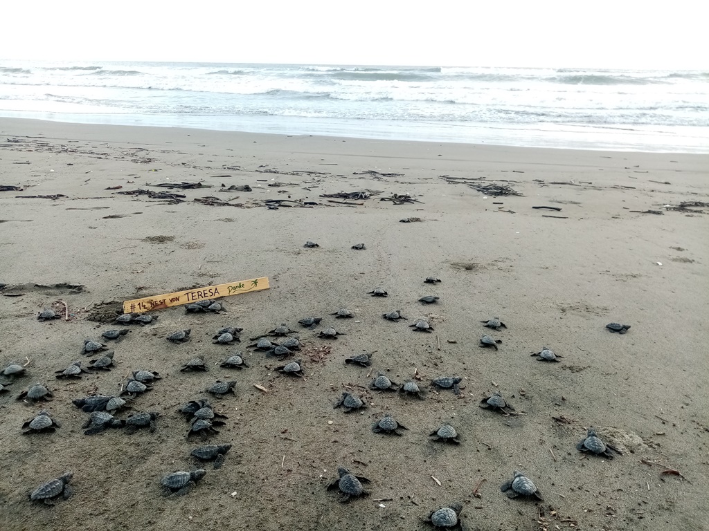 in the late afternoon