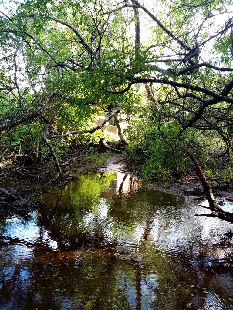 temporarily indundated