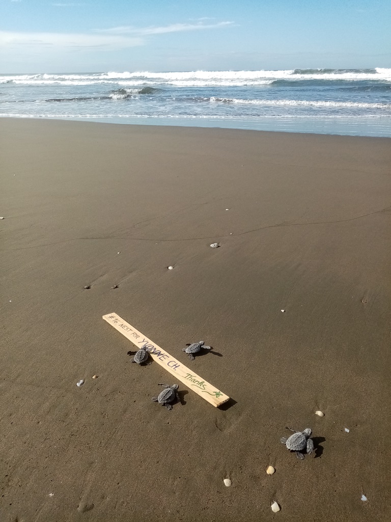 release in the morning