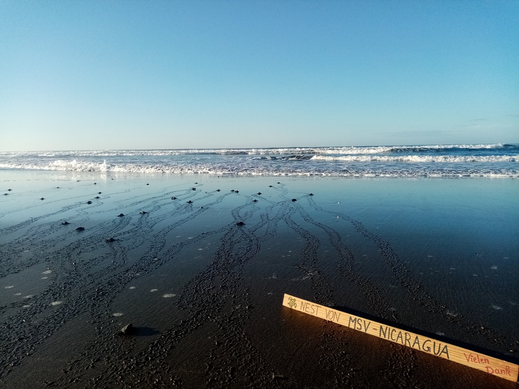 release during low tide