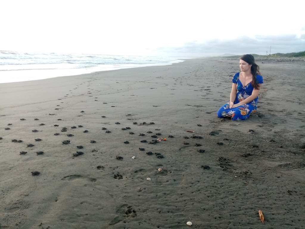 New Years Eve hatchlings!