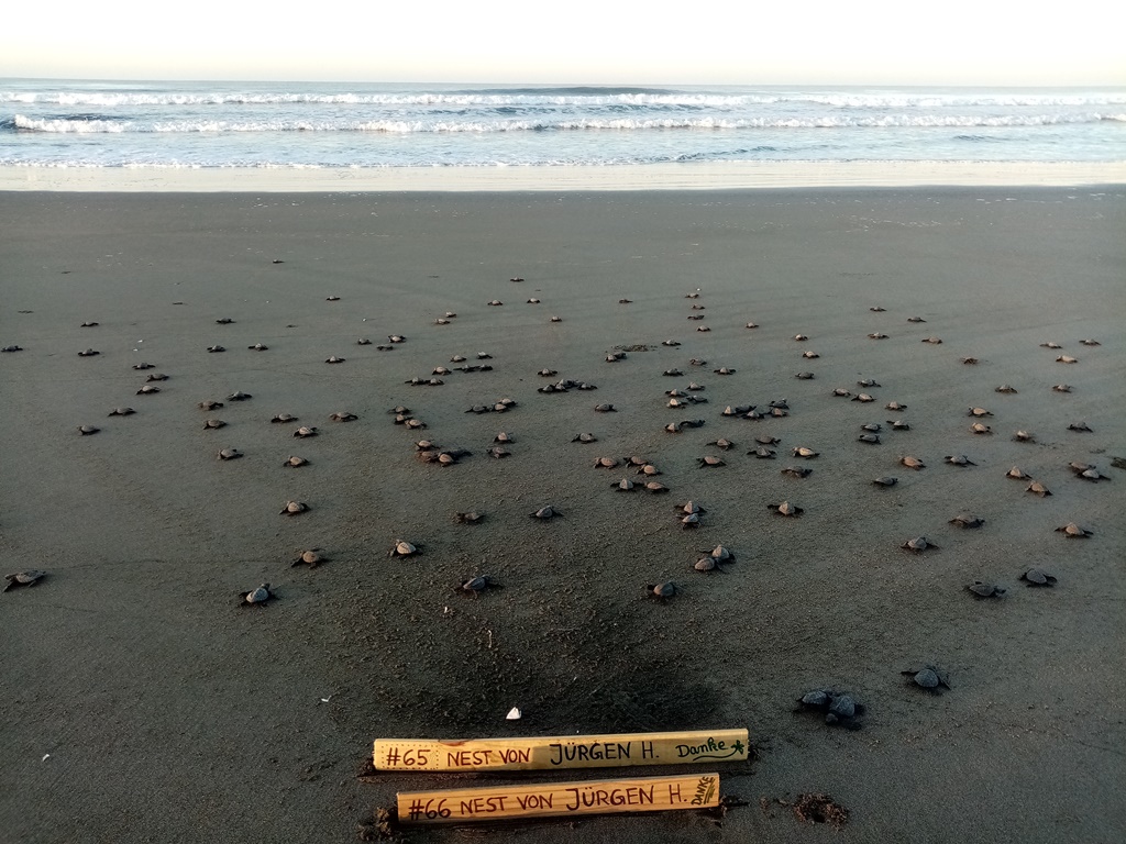 ...straight to the beach