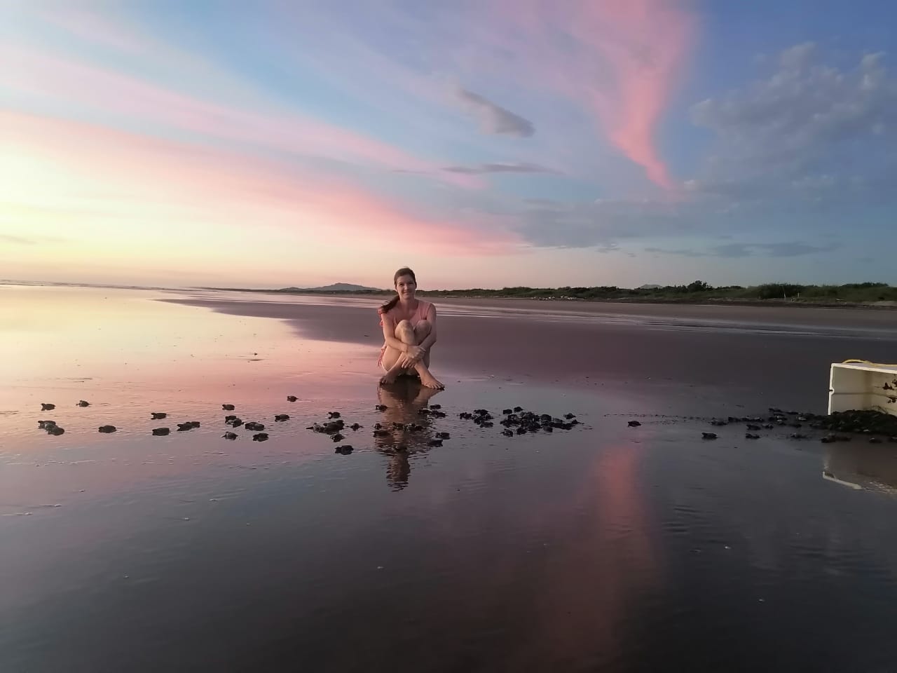 ... with hatchlings!