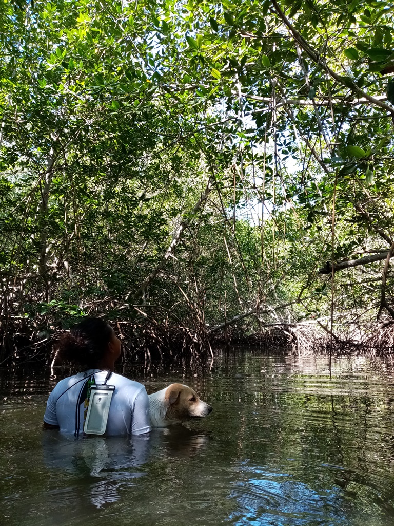 ... she soon got tired of swimming!
