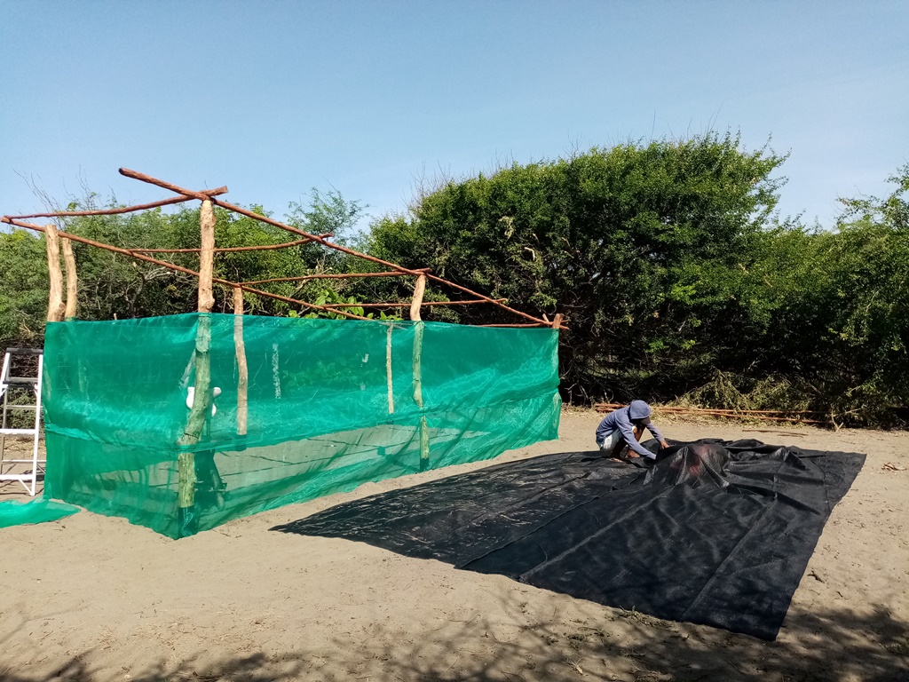 Building the hatchery