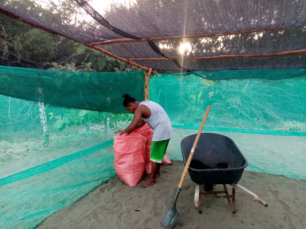Melvin prepares the first nest bags