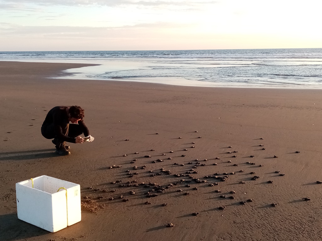 A guest from Germany