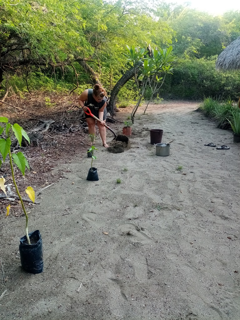 Start of rainy season = Planting time!