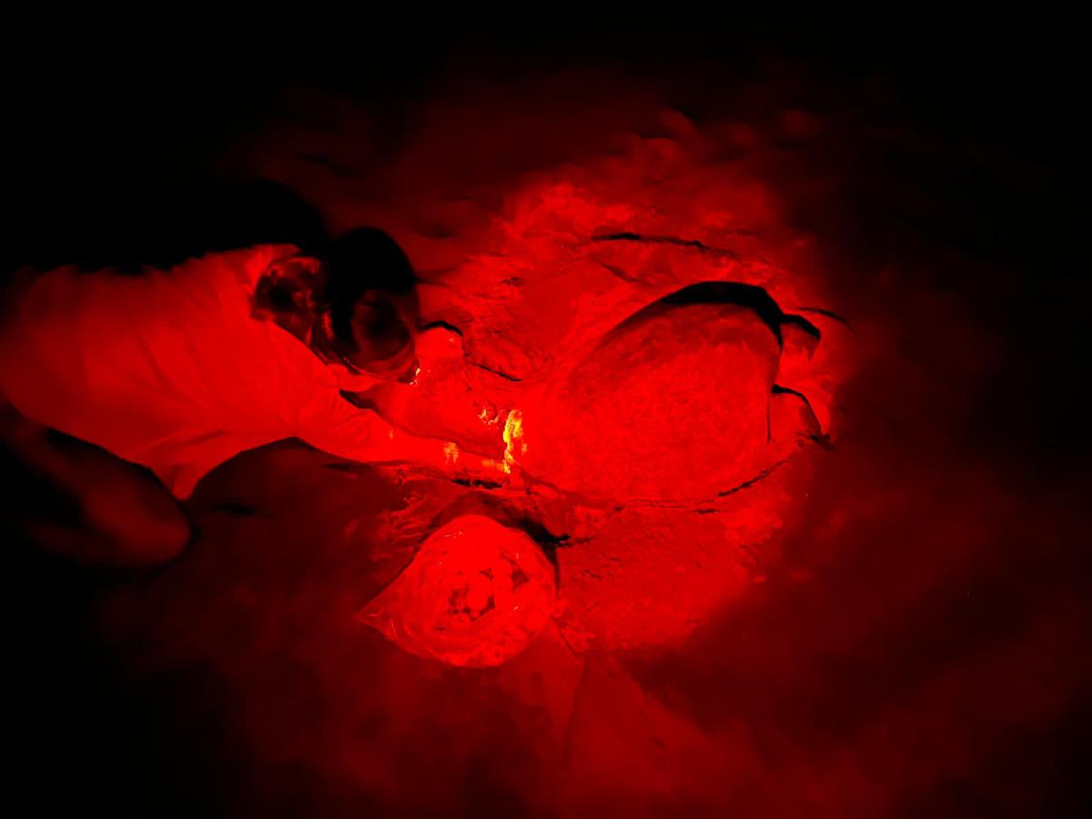 Challenges, Changes and Chances – What happened in&nbsp;2023