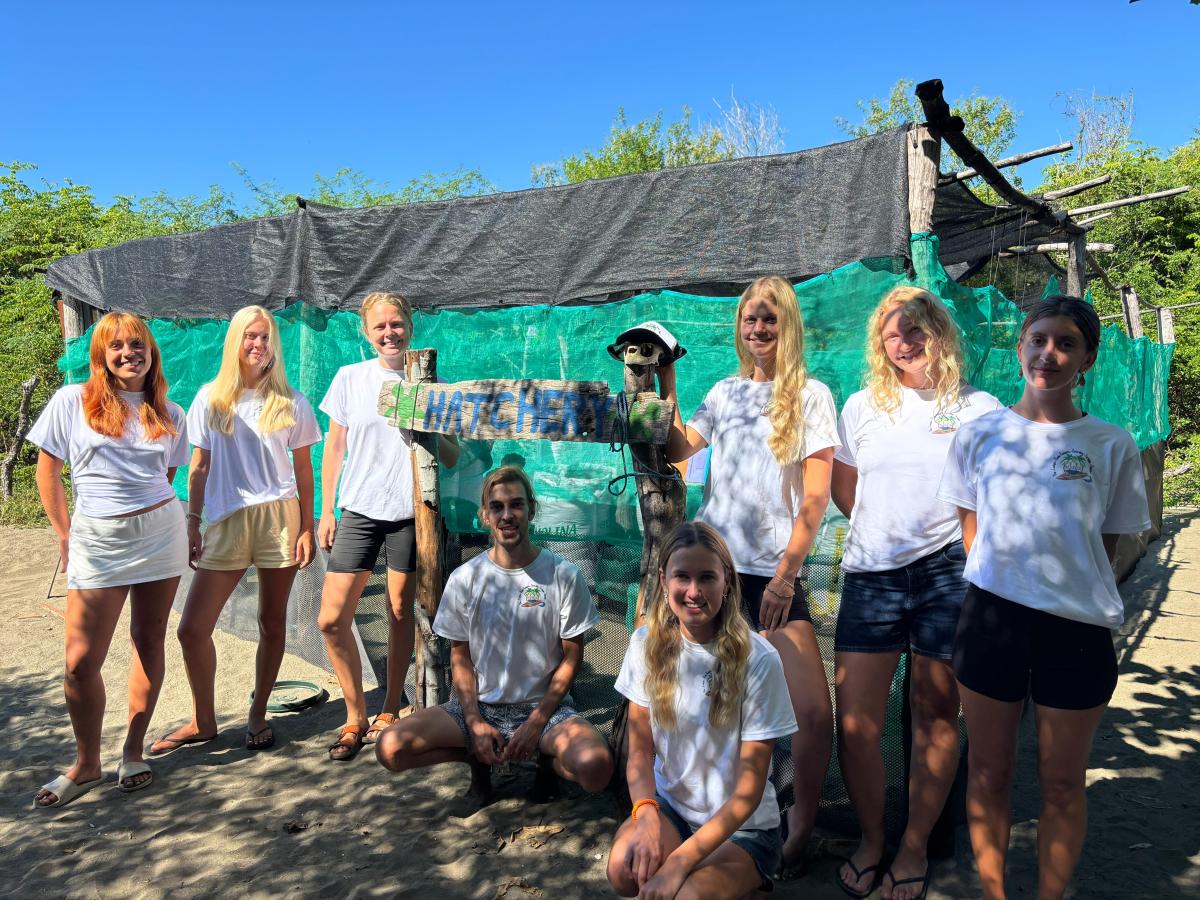 Getting Bigger and Busier – 2025&nbsp;Overview