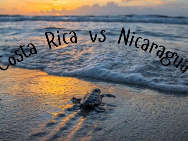 Sea turtle volunteering in Costa Rica: Is it really your best&nbsp;choice?